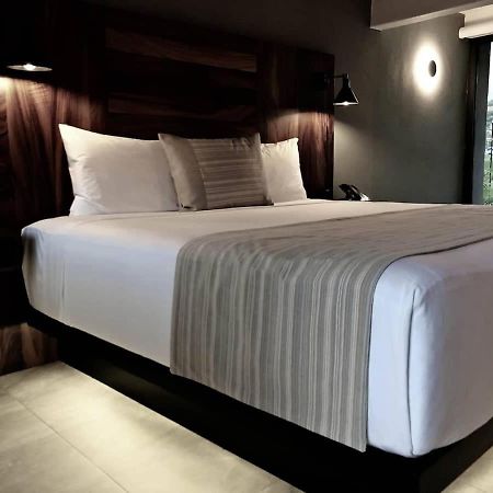 4 Charming Suite King Rooms In Luxurious Boutique Hotel San Jose del Cabo Exterior photo